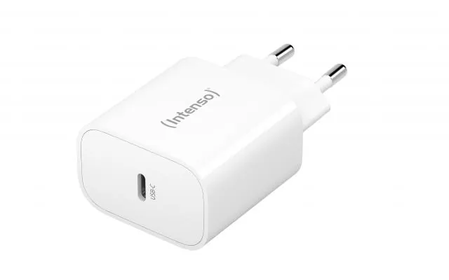 Intenso USB Type-C Wall Charger