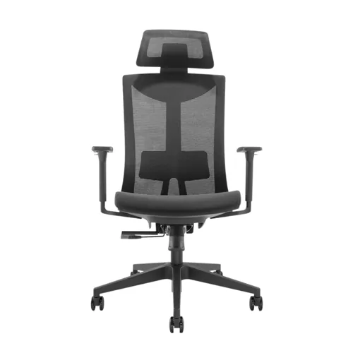 Lumivida Premium High-back Office Chair
