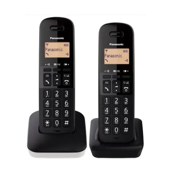 Panasonic Duo Cordless Phone