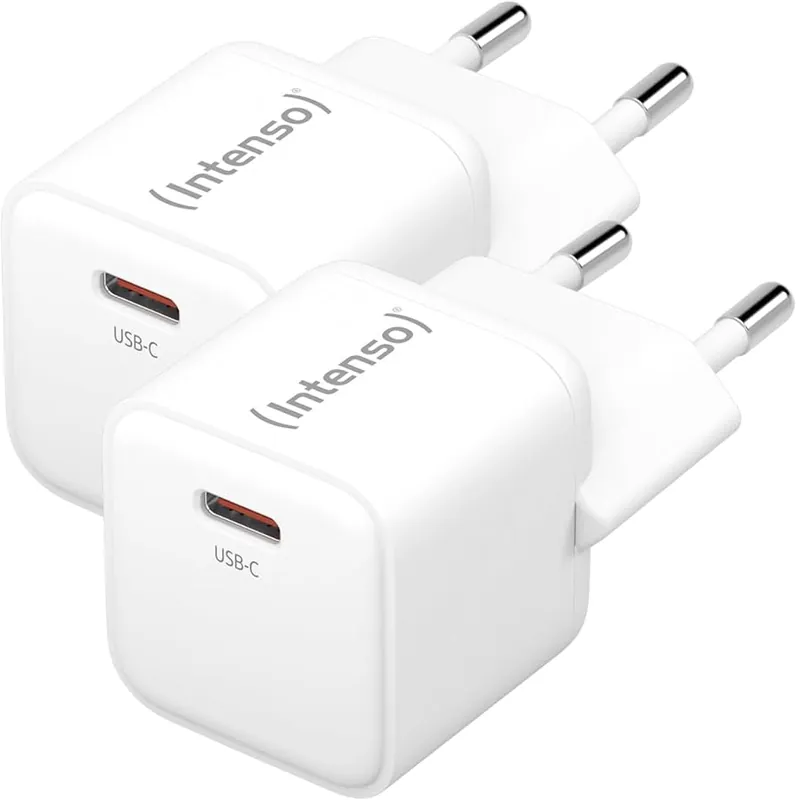Intenso USB Type-C Double Pack Wall Charger